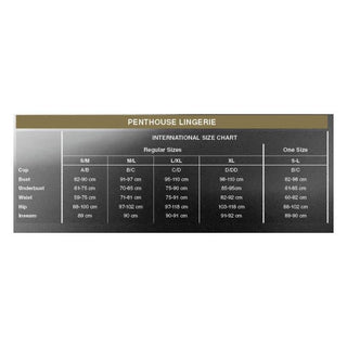 Penthouse Lingerie's internationella storlekstabell för S/M, M/L, L/XL, XL och One Size hjälper dig att hitta den perfekta passformen för Vit Bodystocking Med Strumpeband i spets eller fisknätsmönster.