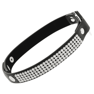 Ett chokerhalsband i svart läder, med silverdubbar och en spänne, tillverkad av högkvalitativa material för en hållbar och snygg finish.