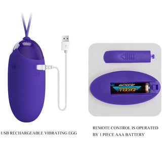 Pretty Love Berger Purple USB-uppladdningsbara vibratorägg har en trådlös fjärrkontroll och fungerar med ett AAA-batteri.